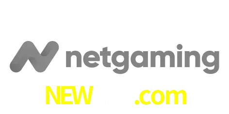 NetGaming